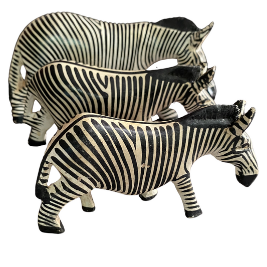 African Wood-curving Zebra