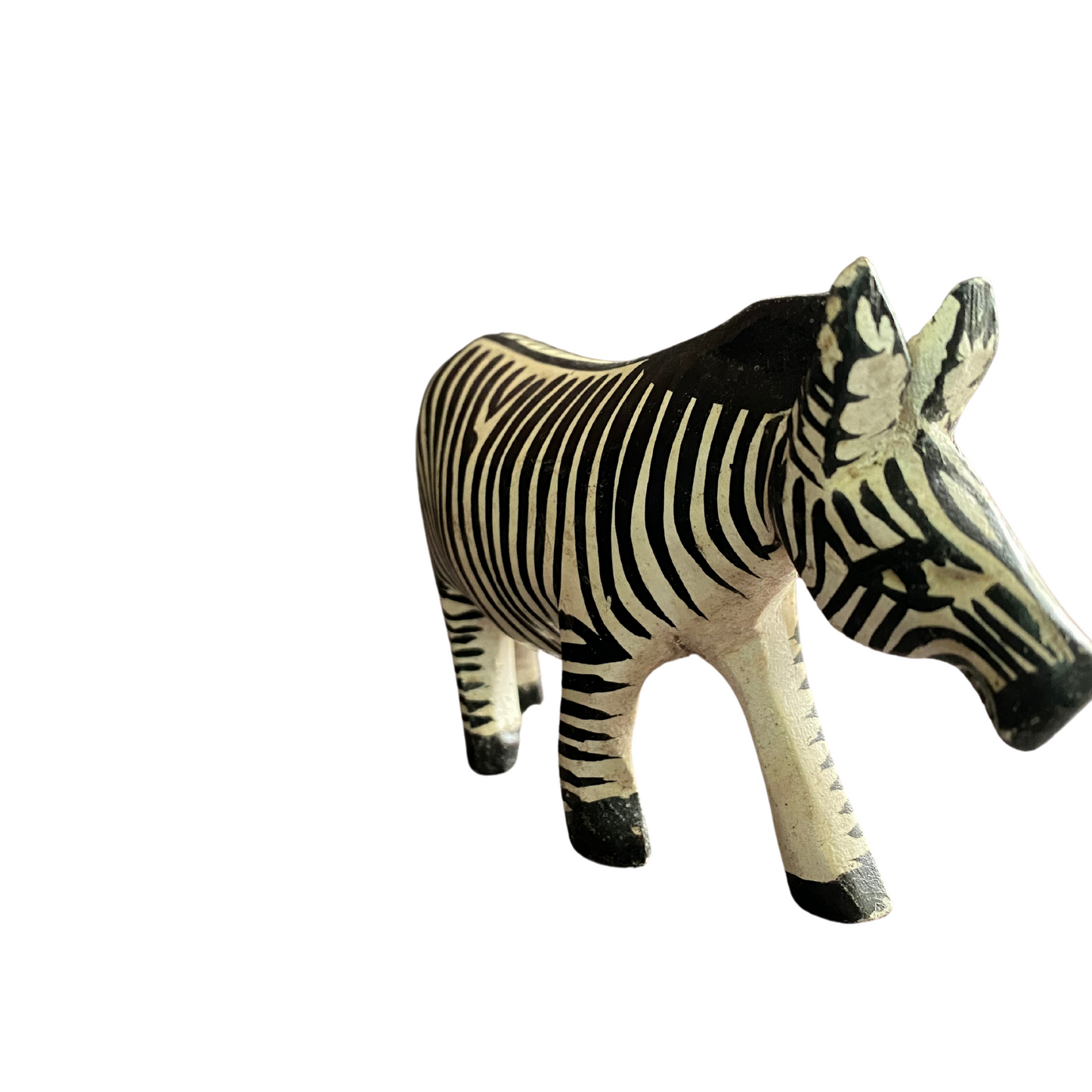 African Wood-curving Zebra