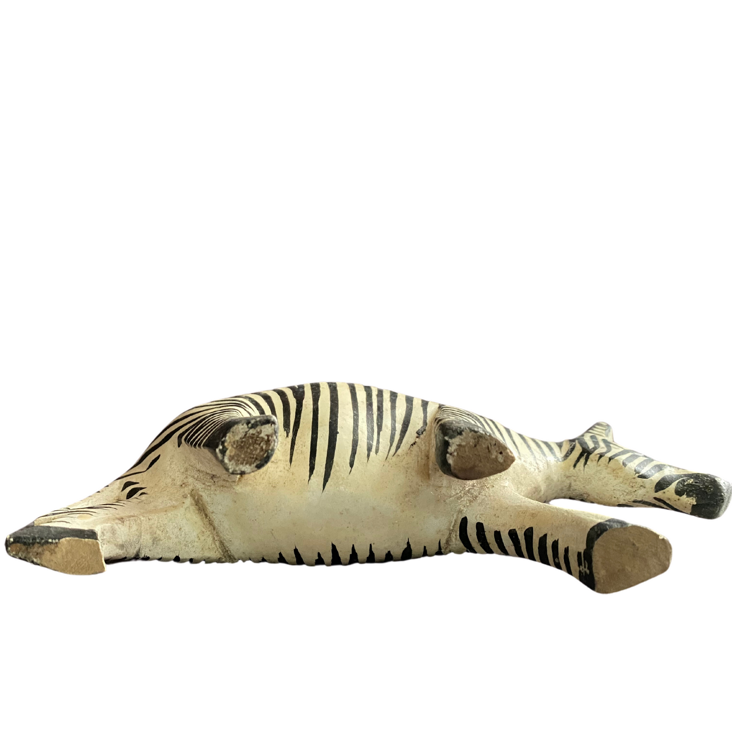 African Wood-curving Zebra