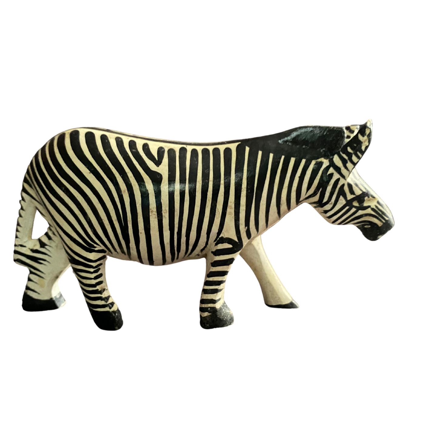 African Wood-curving Zebra