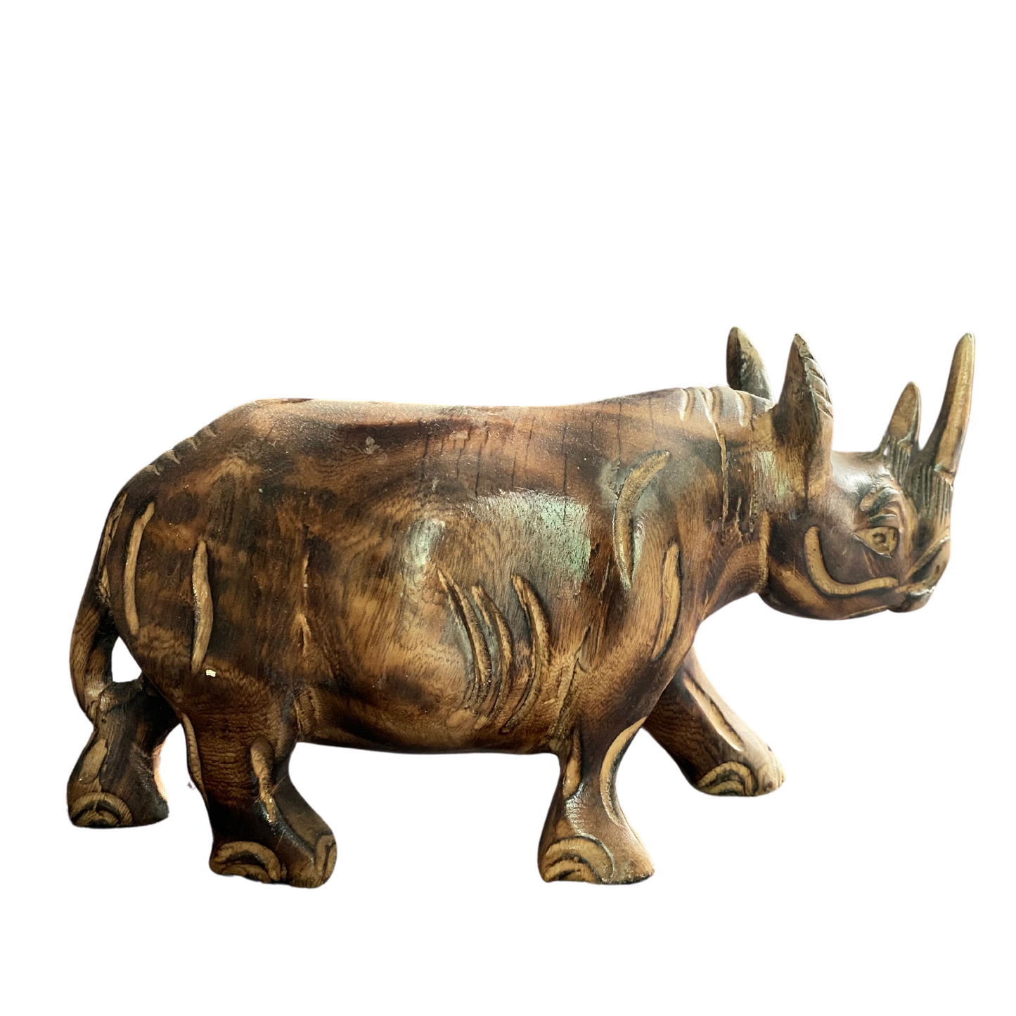 African Wood-curving Rhino