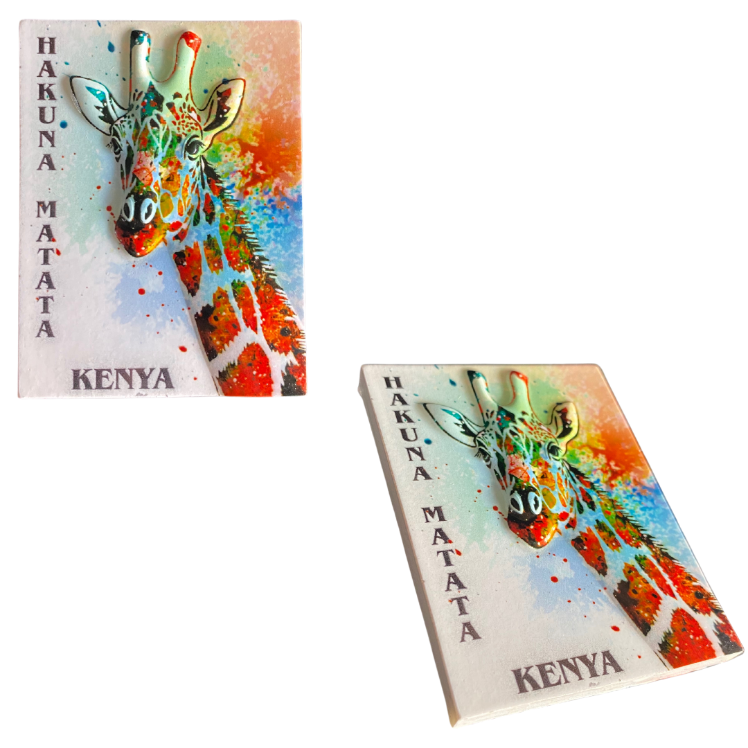 Modern African Fridge Magnet Stickers