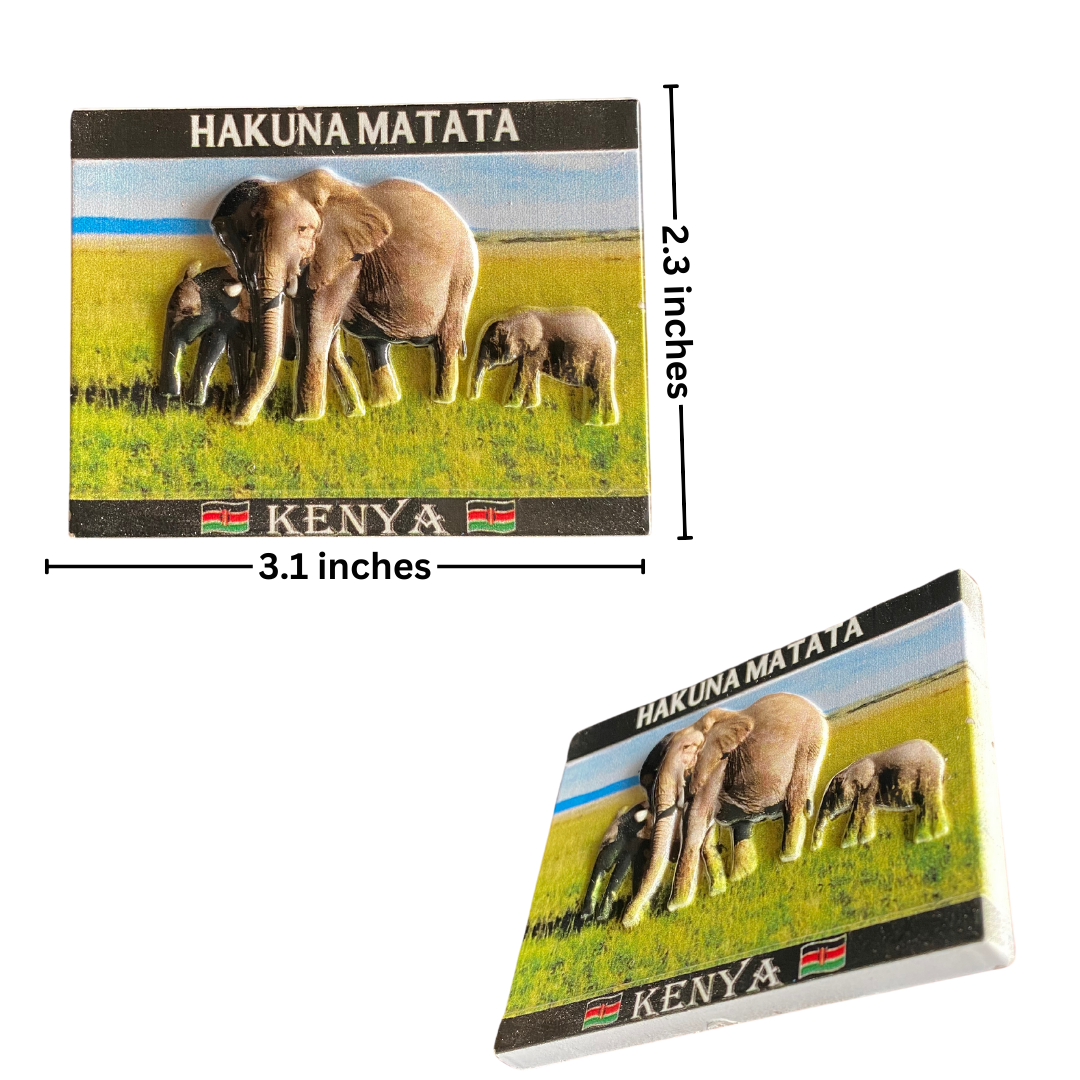 Modern African Fridge Magnet Stickers